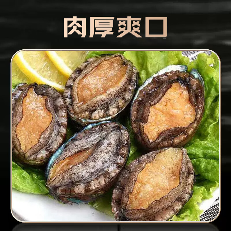 鲜冻大鲍鱼 500g/8头 鲜活速冻肉质肥美 海鲜火锅捞汁煲汤烧烤 鲜冻鲍鱼8只(500±50g)*1盒