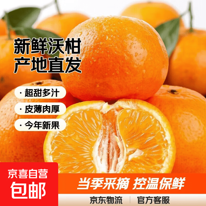 新鲜沃柑当季采摘产地直发柑橘沃柑整箱 沃柑带箱1斤