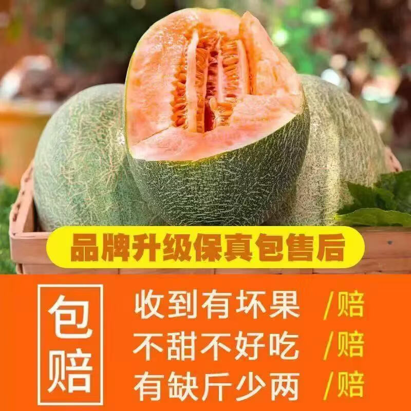 沐瑾正宗当季海南哈密瓜新鲜应季水果蜜瓜孕妇水果脆甜西州蜜包邮整箱 8.5-9斤3-5个