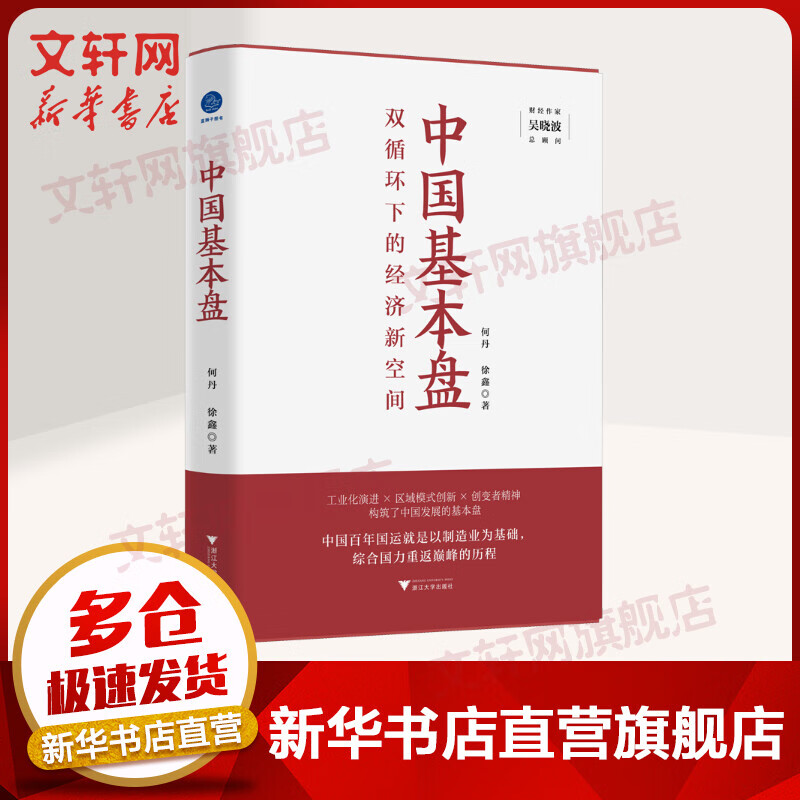 中国基本盘 双循环下的经济新空间 吴晓波总顾问倾力推荐 图书