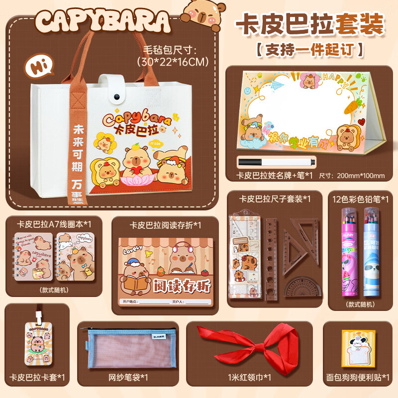洧宜文具套装卡皮巴拉水豚大礼包儿童生日伴手礼小学生幼儿园男女孩生日礼物文具盲盒六一儿童节礼物