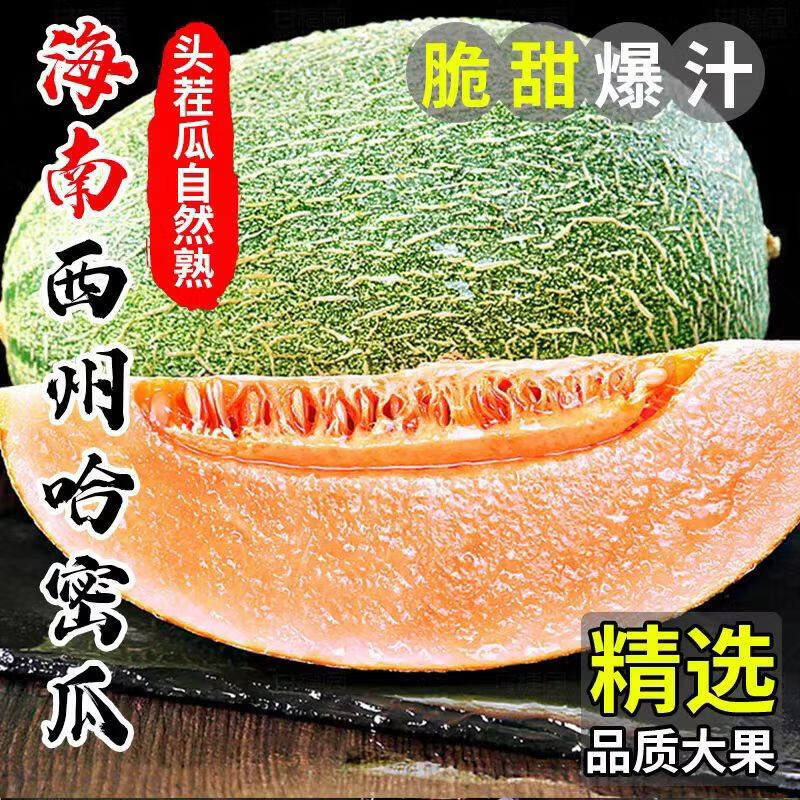 海南西州蜜瓜  脆甜多汁软糯香甜蜜哈密瓜 新鲜应季生鲜水果整箱 海南哈密瓜2.5-3斤（1-2个）