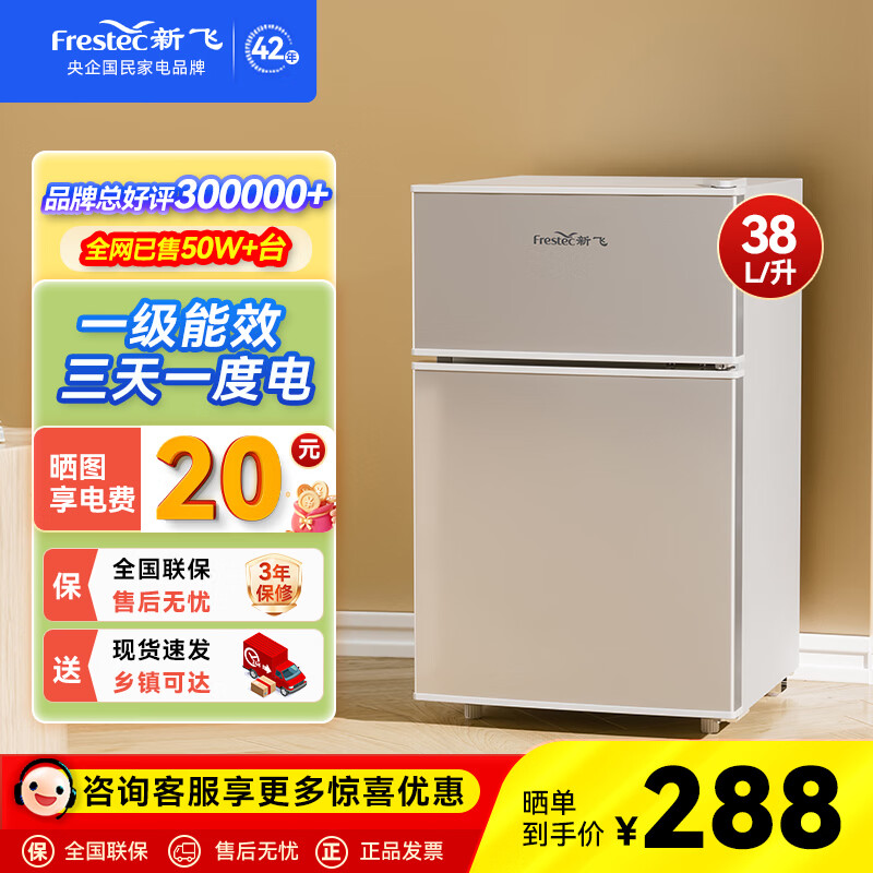 新飞 （Frestec）小冰箱迷你小型家用家电冷藏冷冻宿舍出租房办公室双开门二门电冰箱一级能效节能省电 38L银【日销过百+租房必备】
