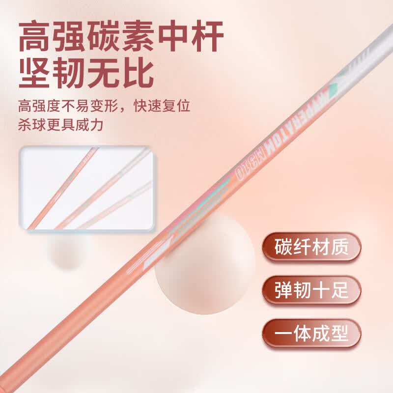 ANTA安踏(ANTA)羽毛球拍专业级碳素超轻耐打对拍羽毛球球拍蓝白粉白 超轻训练碳素【单拍】【赠六球+2手胶+球包】