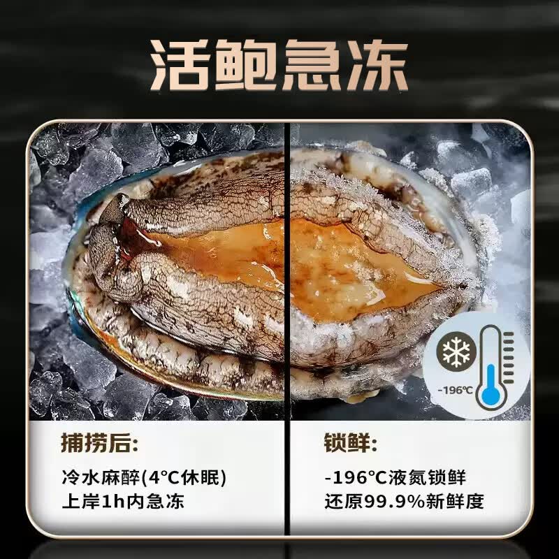 鲜冻大鲍鱼 500g/8头 鲜活速冻肉质肥美 海鲜火锅捞汁煲汤烧烤 鲜冻鲍鱼8只(500±50g)*1盒