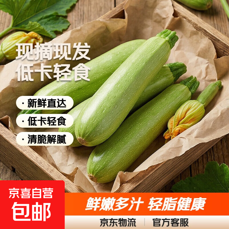 京喜加山东西葫芦三月瓜嫩瓜夏季解暑下火低卡轻食新鲜蔬菜现摘现发 2斤 带箱