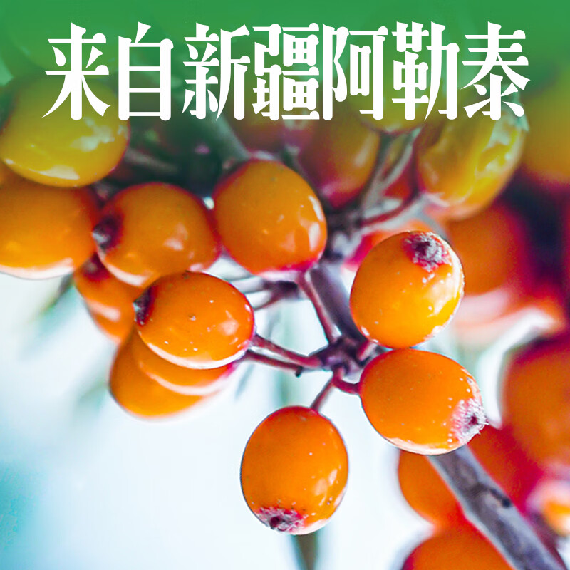 玛依莎新疆特产阿勒泰直发原生大果沙棘原浆野沙棘汁NFC鲜榨汁沙棘汁 沙棘原浆(新包装上市) 360g*1袋