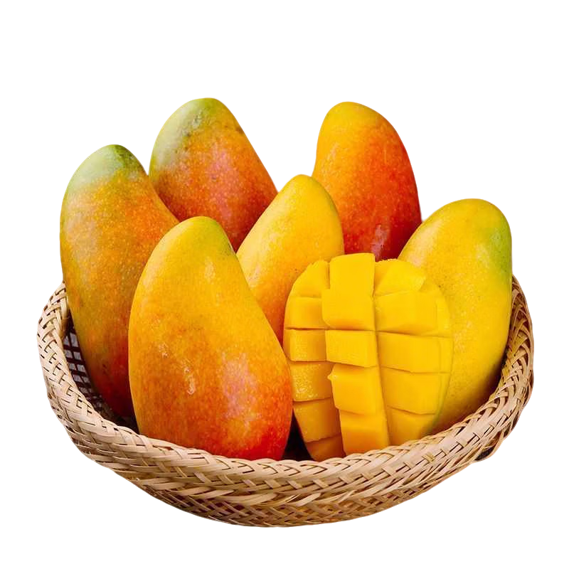 海南贵妃芒果当季新鲜水果现摘现发 【带箱5斤】单果150g+净重4.5斤