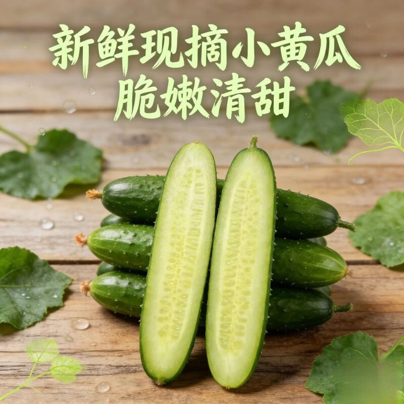 农家种植绿黄瓜爽口脆甜苏北新鲜当季现摘生吃水果小黄瓜减脂简餐 当日采摘 5斤 净重
