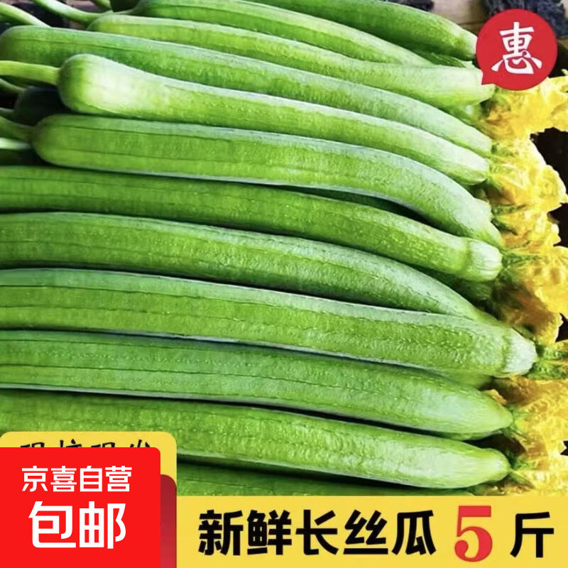 【当天现摘先发】山东寿光新鲜丝瓜绿皮丝瓜农家自种时令便宜 山东长丝瓜带箱 5斤 净重 4.7斤