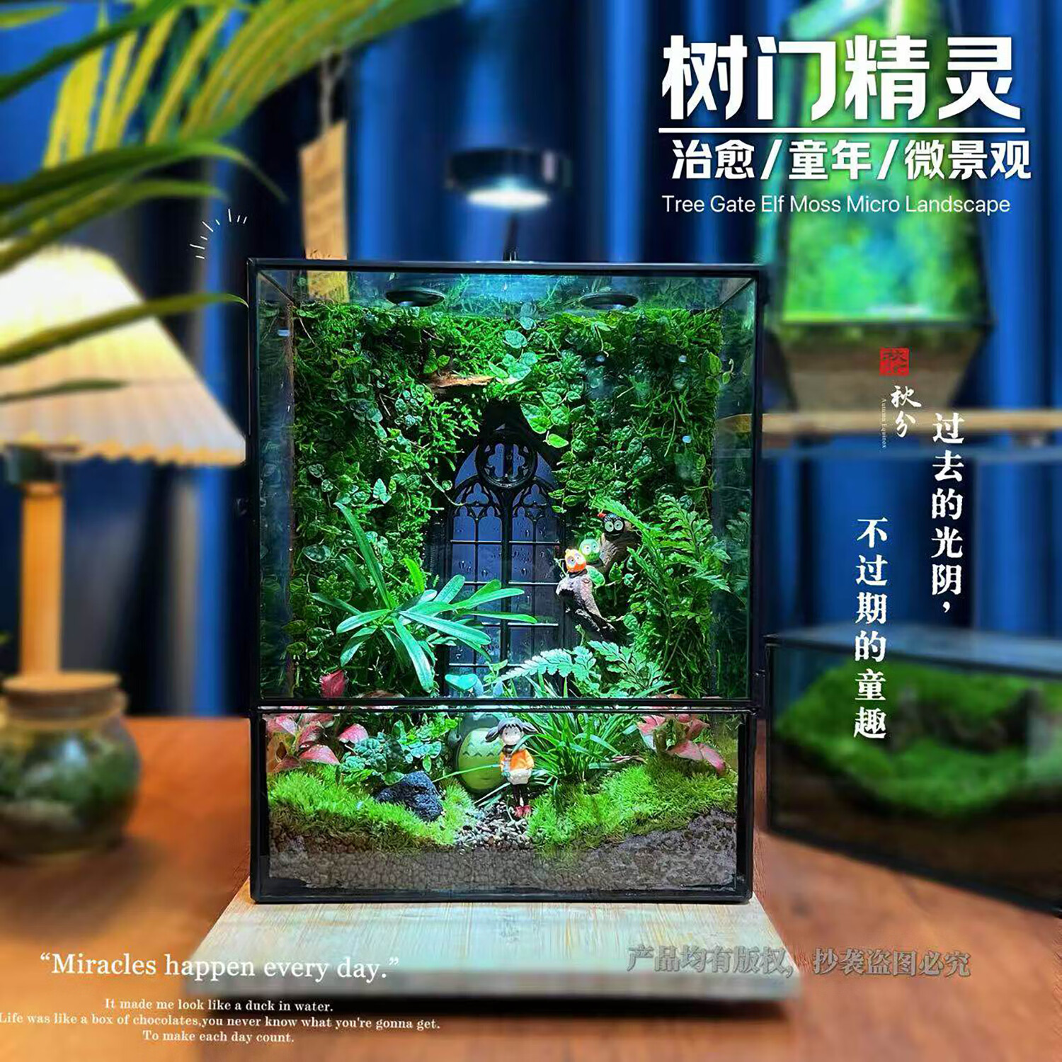 封茗苔藓微景观水陆盆景办公室桌搭树蛙养鱼蟹生态雨林缸室内绿植造景 树门精灵-做好发货+植物灯