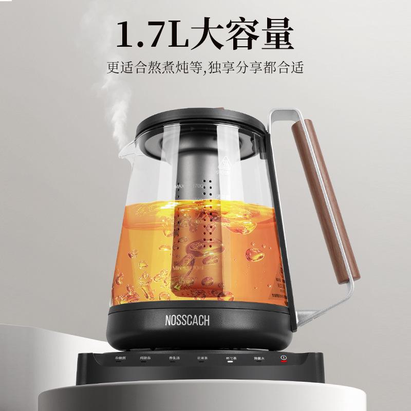 诺斯凯其（NOSSCACH）纯钛养生壶多功能恒温水壶炖煮烧水壶高硼硅玻璃电热水壶家用防烫健康除氯新款煮水壶 透明 1.7L 纯钛养生壶