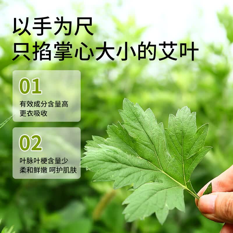 兴宛堂正品艾叶草干艾草叶家用泡澡包泡脚陈年艾叶全家适用送无妨布袋 严选艾叶5袋装【共2500g】+100个网纱袋