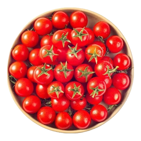 ����Ӧ��ʥŮ������С���� 5�ﾻ��4.8�� 9.9Ԫ/������