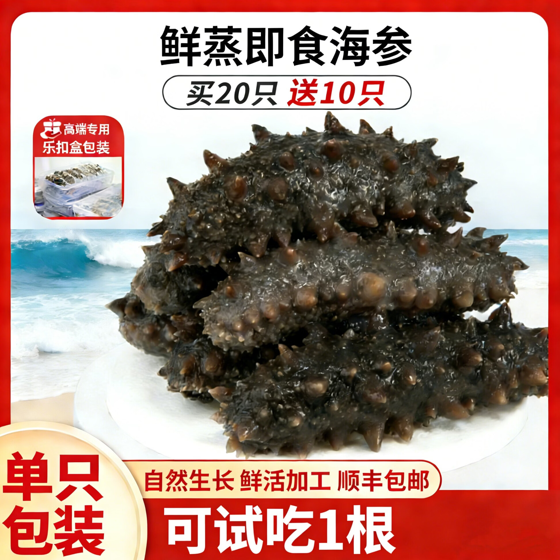 参村长大连鲜海参/到手30根/鲜蒸海参/免泡发不挂冰/礼盒装/顺丰冷链 买20根送10根 到手30根