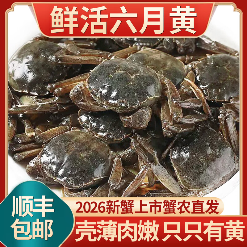【活蟹】网兜蟹鲜活小螃蟹六月黄河蟹净重足重淡水公母大闸蟹生鲜 二元蟹[0.4-0.6两]20只+2只备损