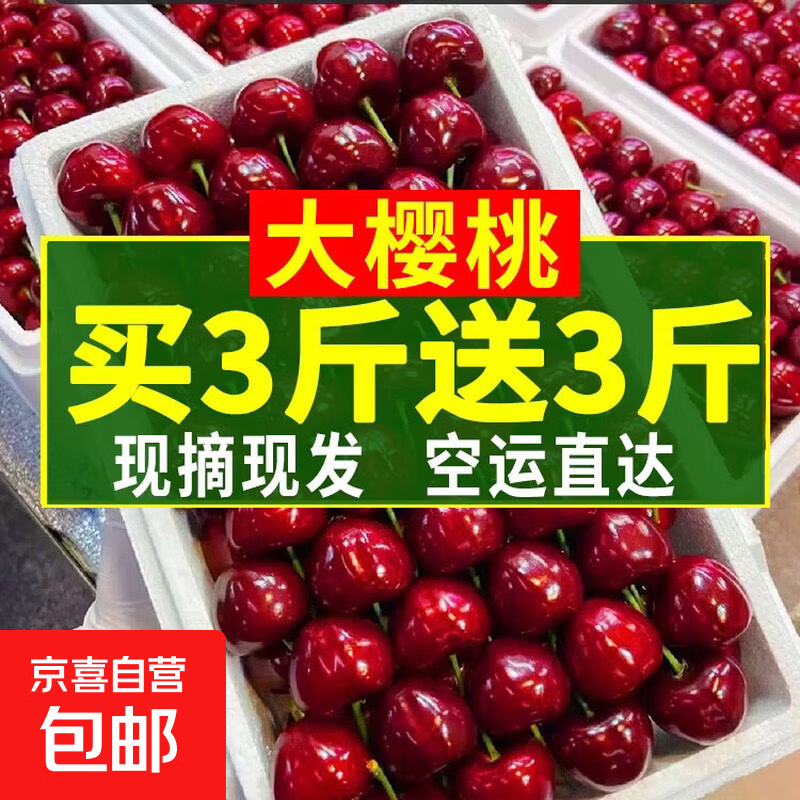 烟台大樱桃现摘现发新鲜水果山东大红灯预售专链 0g(净重) 买3斤送3斤带箱6斤 特大果【口口爆浆】单J级【送到家】