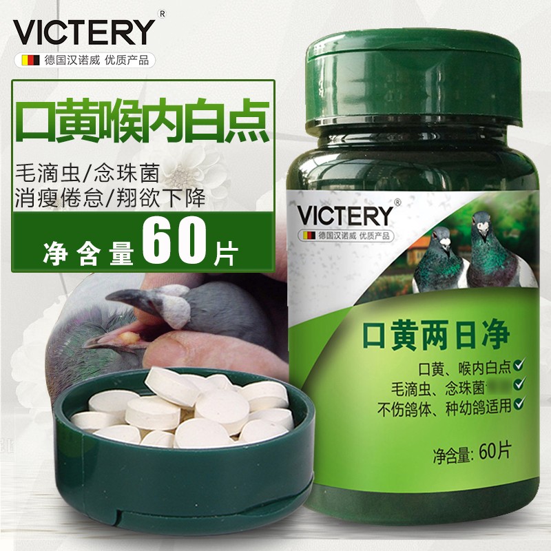 victery赛信种鸽子口黄两日净大全毛滴虫呼吸道口黄喉内白点水绿便非