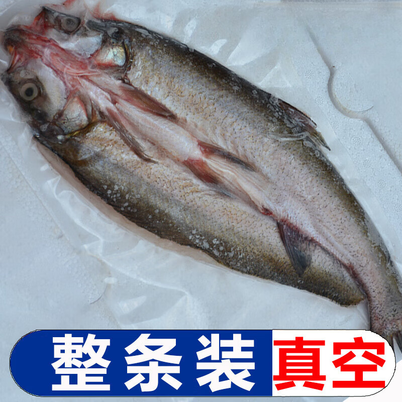 大白刁翘嘴鱼湖北丹江口刁子鱼鱼淡水鱼大鲌鱼新鲜净膛 两斤2条【每条1斤左右】 真空包装【净重发货】去鳞去腮去内脏