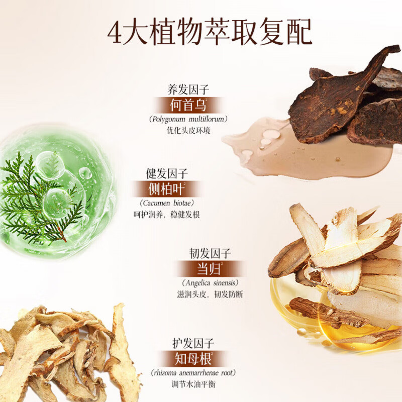 TLXT柚可言洗发水防脱育发增发密发草本人参滋养控油韧发防断发丝强健 3瓶【发量乌黑浓密 固发育发】 草本强韧滋养丰盈控油韧发防断发丝官方直营