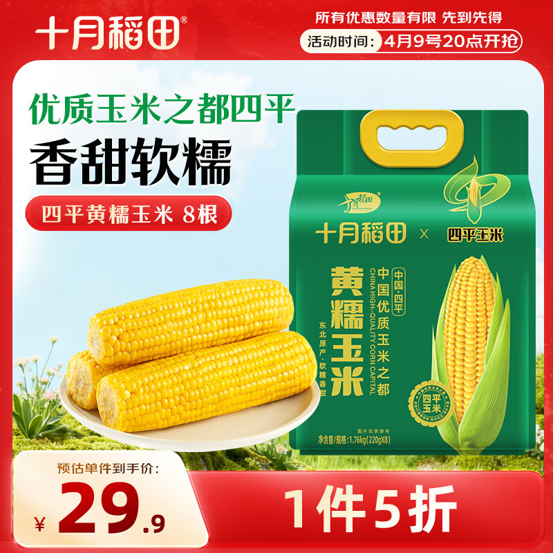 十月稻田 四平黄甜糯玉米 8根 3.52斤 东北黏玉米棒 真空包装 非转基因