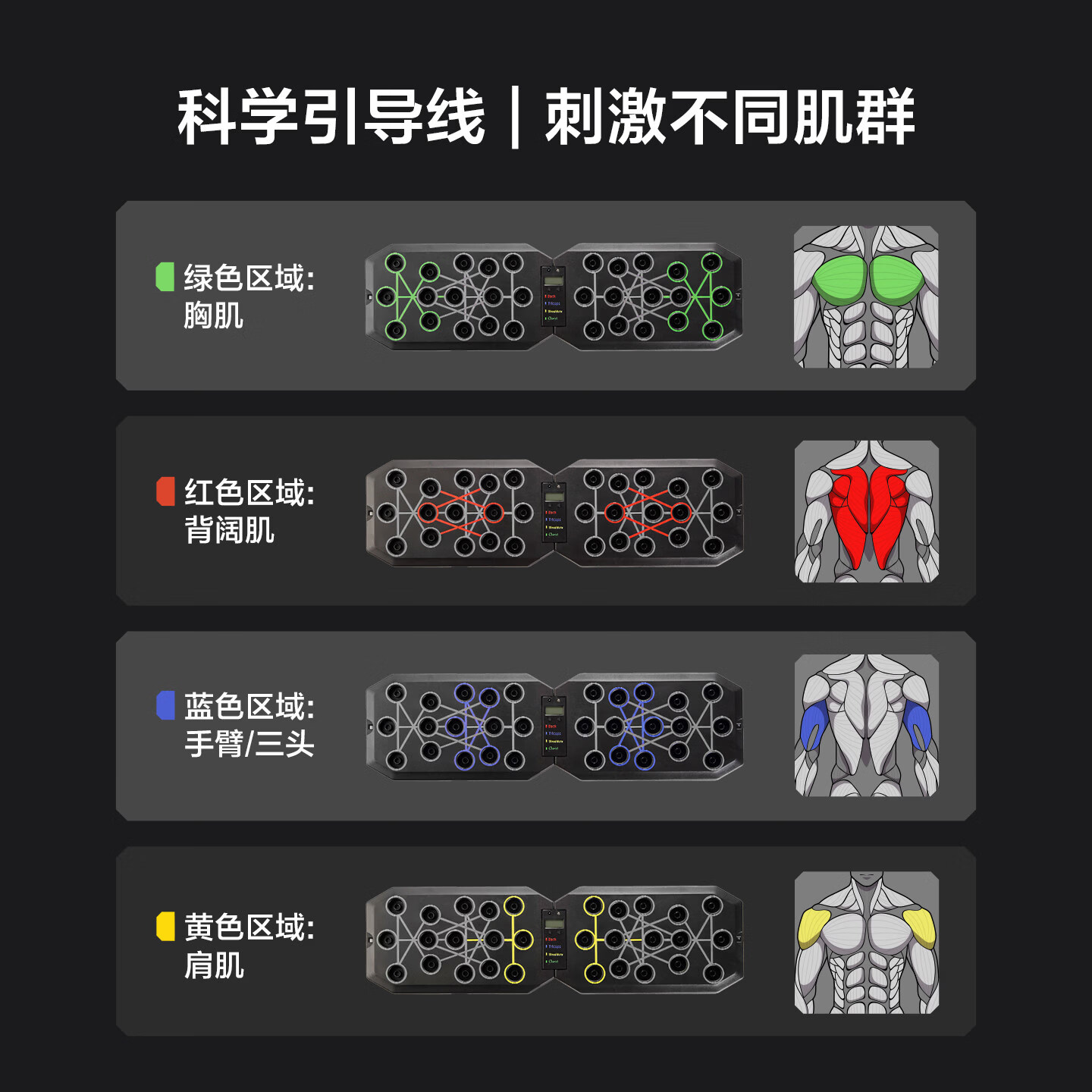 乐动力 多功能俯卧撑支架训练板男练腹肌胸肌平板支撑一体训练家用健身 【俯卧撑板】升级折叠-包胶握把