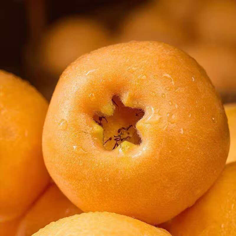 贵州高山枇杷新鲜应季水果枇杷新摘自然熟枇杷整箱直发坏果包赔 贵州高山枇杷 1斤净重小果20-30g（试吃装）