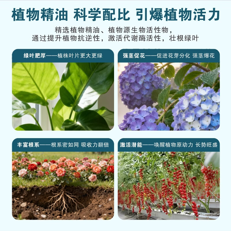 摩登农夫原动力抗冻抗旱促长促芽促苗修复黄叶幼宠安全hb101 50ml