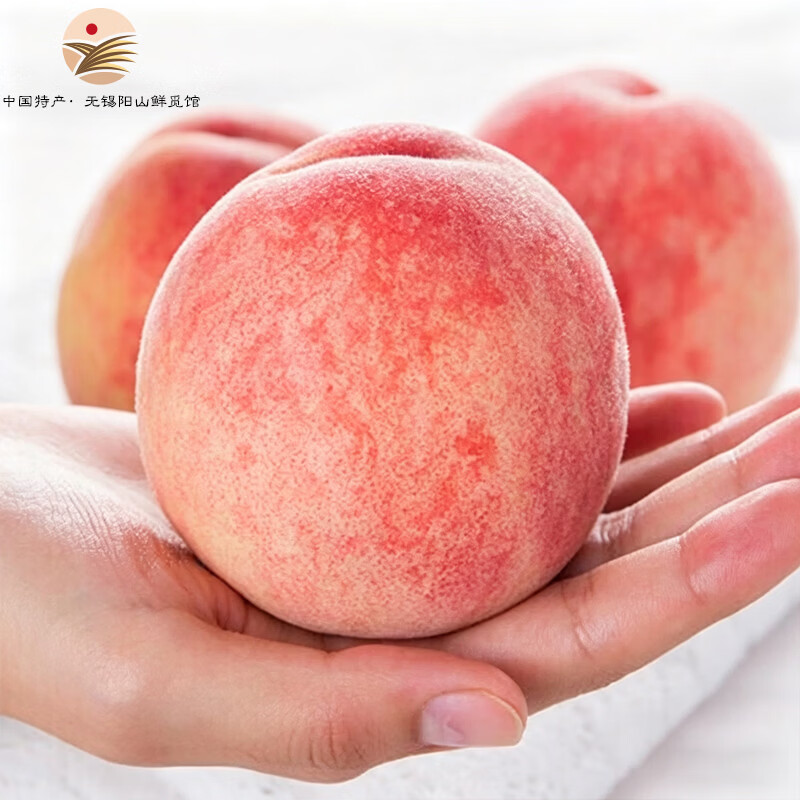 阳山水蜜桃 正宗无锡阳山水蜜桃 时令水果桃子 节日端午礼盒送礼 一级果4-5两12个礼盒净重4.8斤多