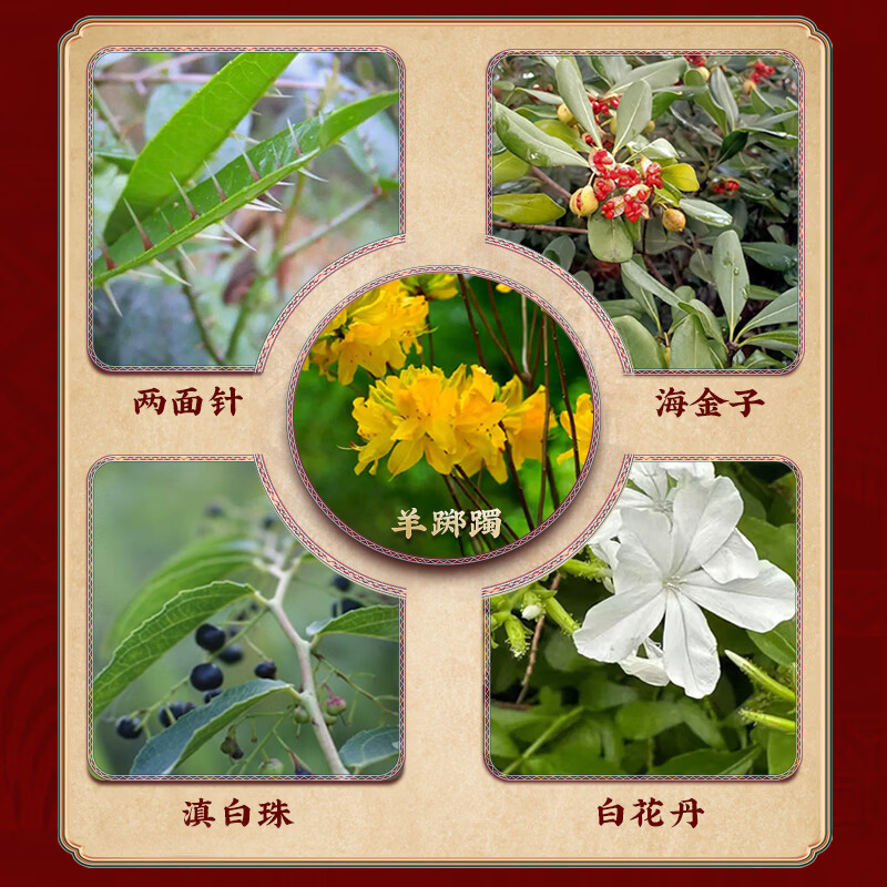今络舒瑶山五虎膏药贴+瑶山本草足浴包颈椎腰椎肩周贴筋骨贴本草泡脚包 11*15CM 2+1【组合装】2盒五虎贴+1袋瑶浴包