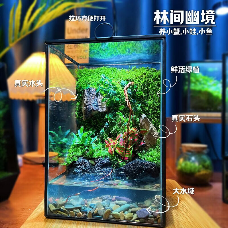 封茗苔藓微景观水陆盆景办公室桌搭树蛙养鱼蟹生态雨林缸室内绿植造景 树门精灵-做好发货+植物灯