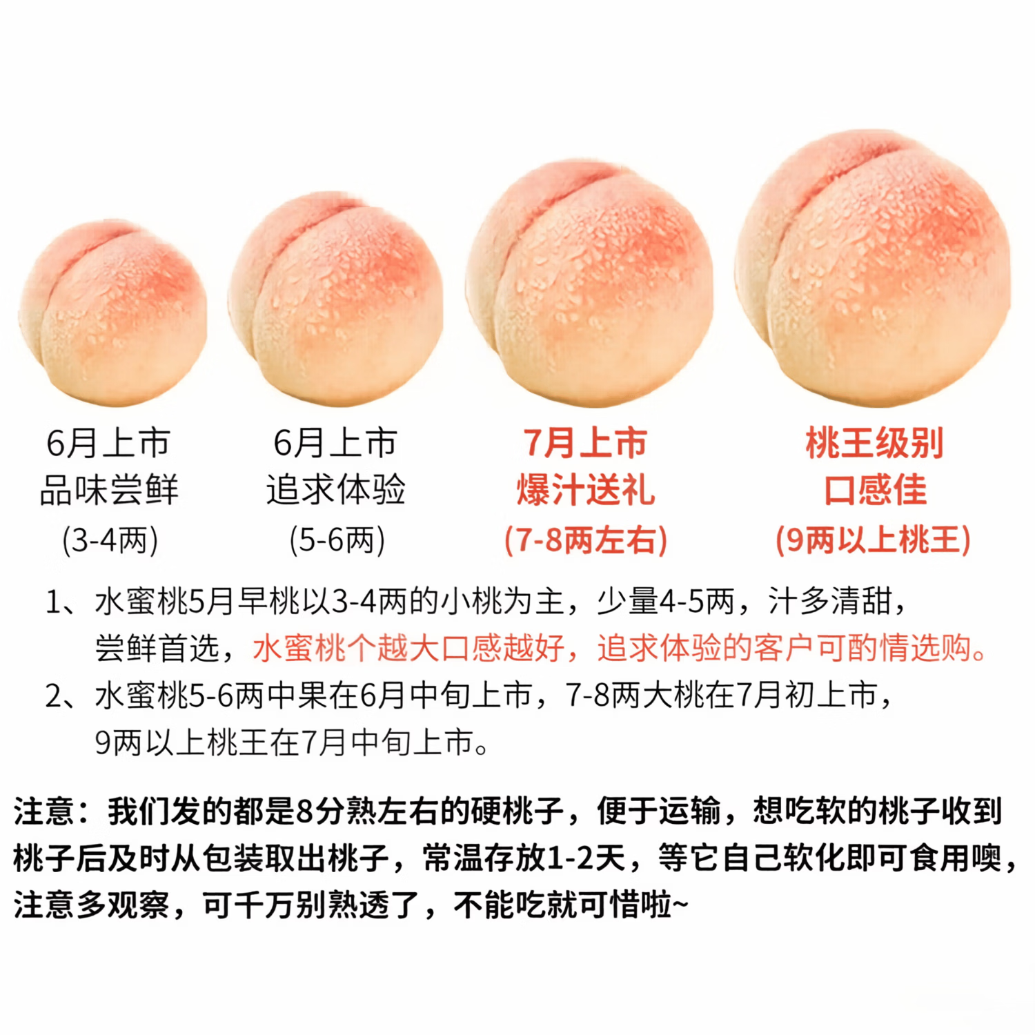 正宗无锡水蜜桃 新鲜软桃 端午节送礼 阳水山蜜桃 甄选3-4两  12枚礼盒  净重3.6斤+