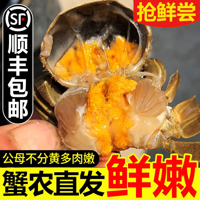 【活蟹】网兜蟹鲜活小螃蟹六月黄河蟹净重足重淡水公母大闸蟹生鲜 三元蟹[0.6-0.8两]25只+2只备损