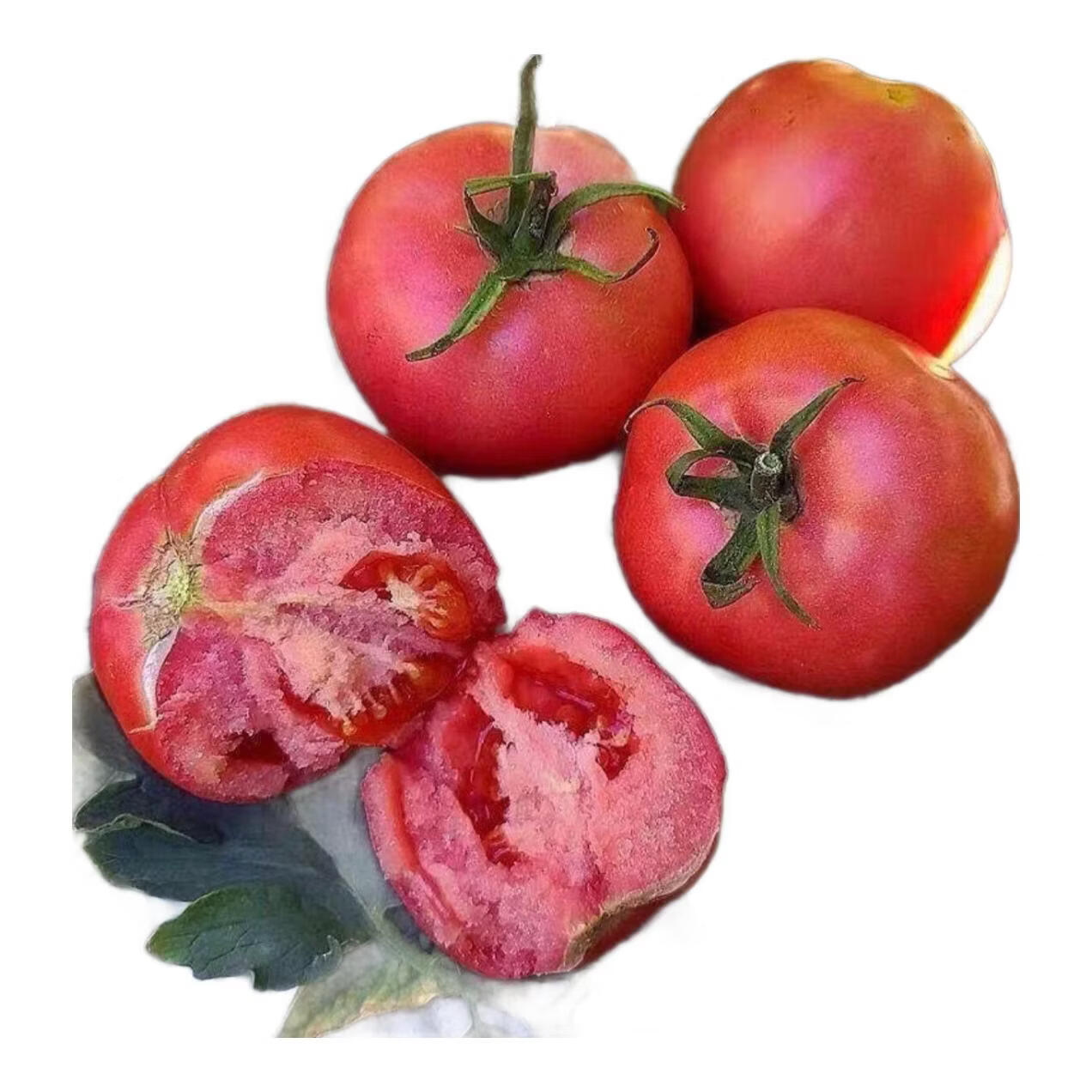 大凉山新鲜现摘铁皮柿子自然熟番茄 新鲜现摘铁皮柿子自然熟番茄 5斤 净重五斤