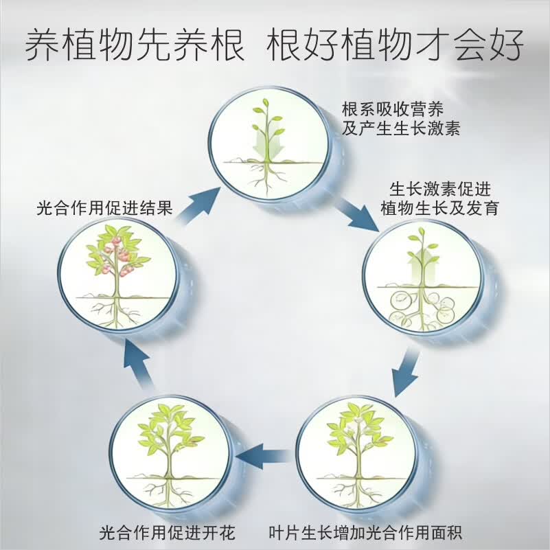 摩登农夫黑晶复元素生根促长浓缩营养液绿植花卉通用 50ml