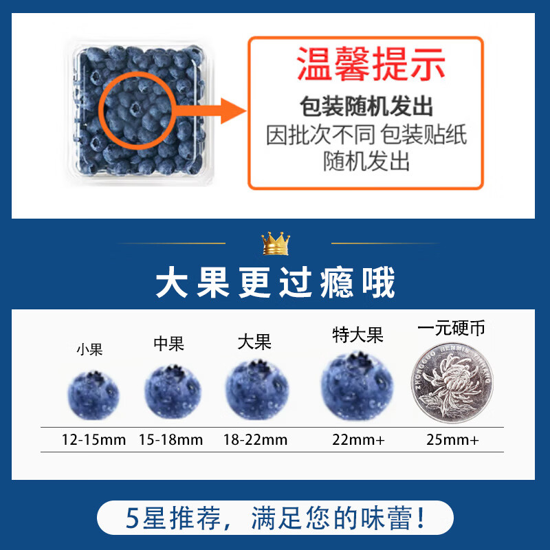 硕莓遂禧正宗云南蓝莓 新鲜水果应季现摘 8盒装*100g 单果12mm+