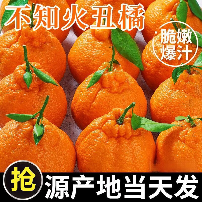 北道主正宗四川不知火丑橘新鲜水果应当季现摘丑粑粑蜜桔柑橘子大果整箱 9斤（净重8.5斤） 中大果（果径75mm+）