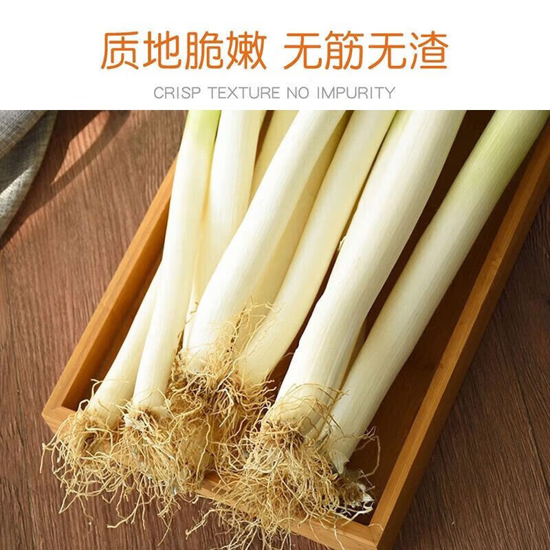 山东铁杆大葱10斤一捆批发5斤新鲜蔬菜大葱3斤现挖1斤 葱白长度25 葱白长度25cm起 【去皮】去半叶【优惠装】5斤净重
