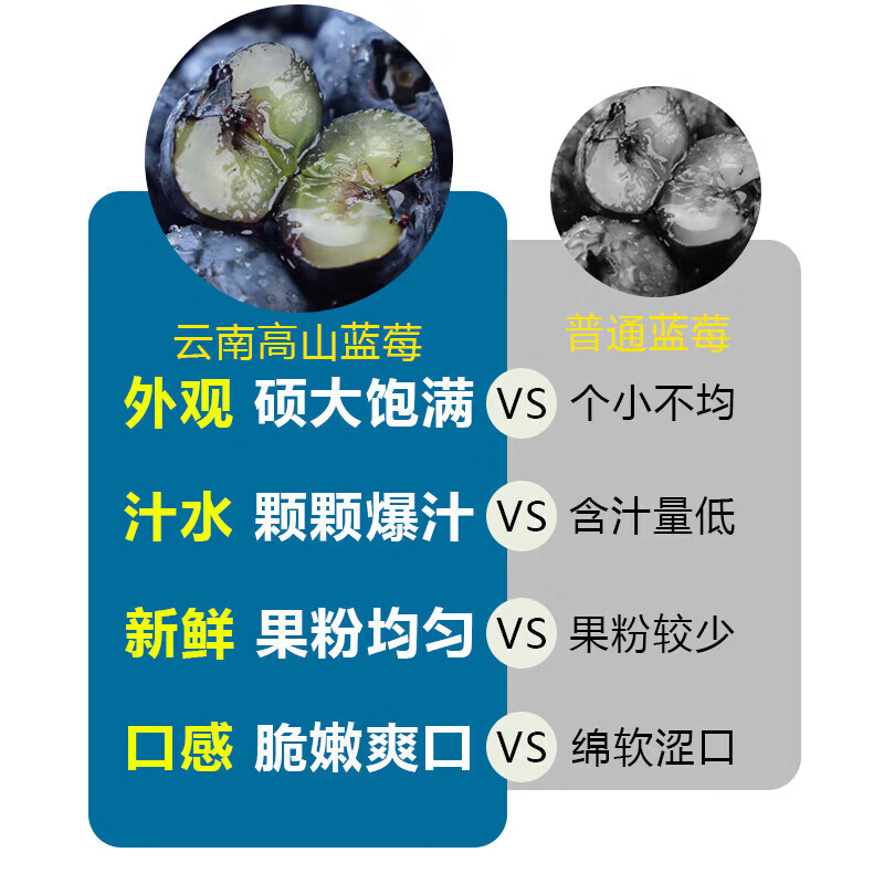 硕莓遂禧正宗云南蓝莓 新鲜水果应季现摘 8盒装*100g 单果12mm+