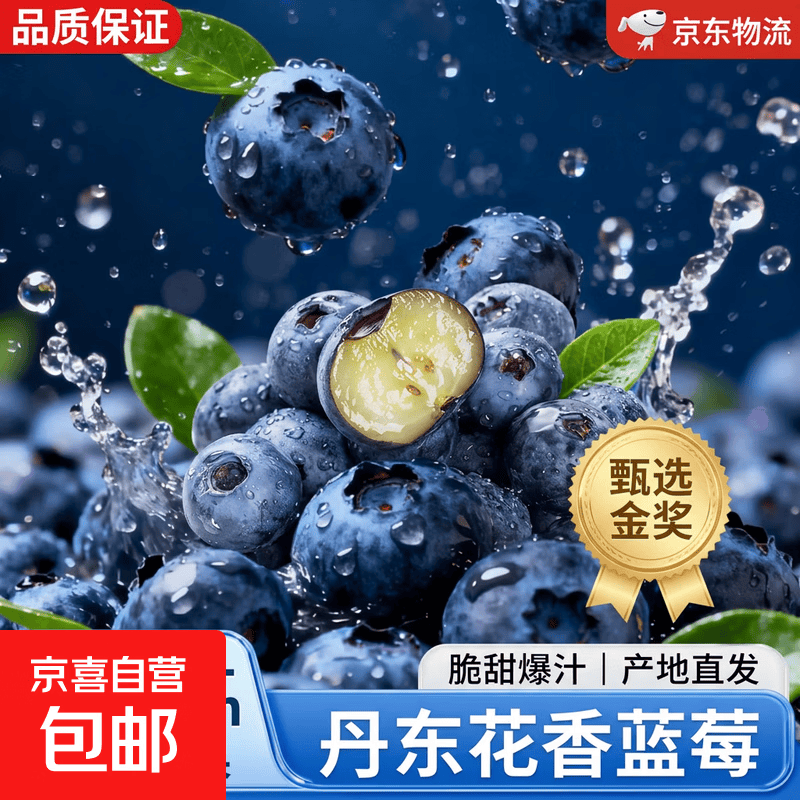 花香大蓝莓 丹东超大蓝莓 新鲜水果  送礼礼盒装 至尊果【单果22mm+】 2盒装【100g/盒】