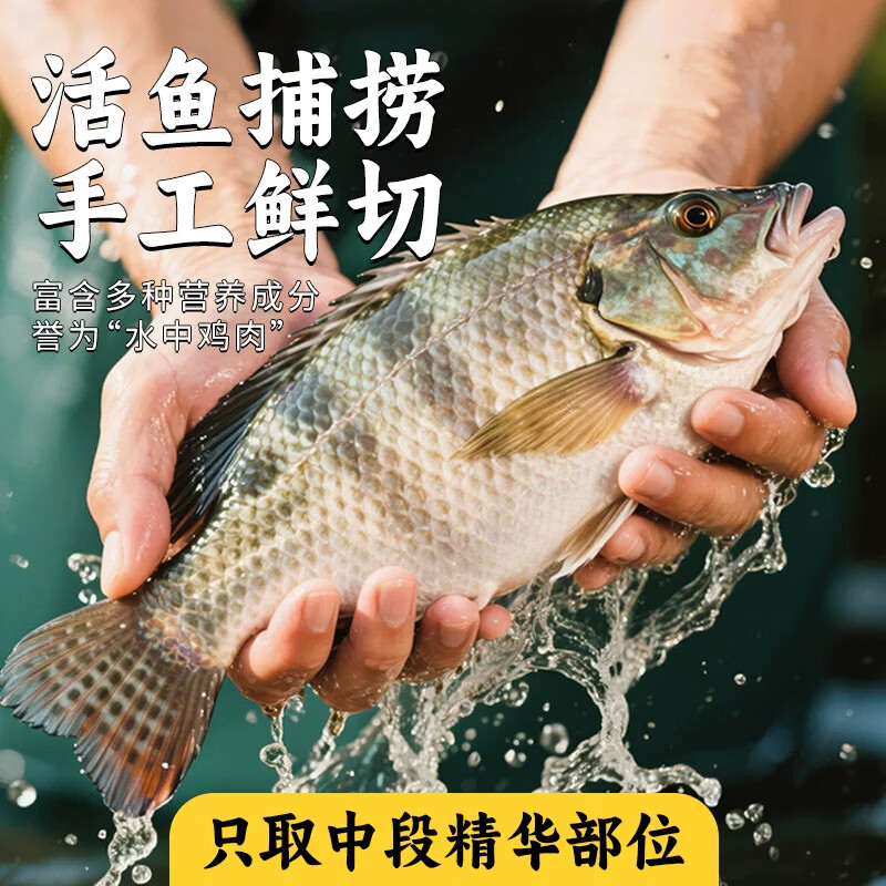 连海肴新鲜速冻鲷鱼片 调味鲷鱼排无刺鱼片罗非鱼片儿童早餐低脂高蛋白 原味鲷鱼排1000g【7-9片】