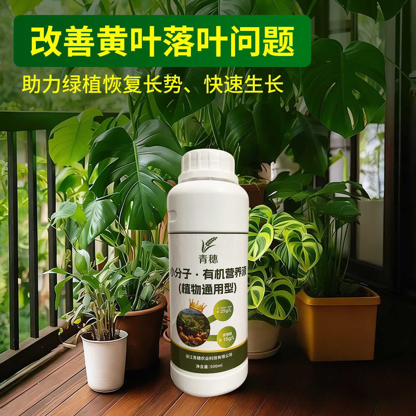 通用型耐用小分子有机营养液促根壮根家用绿植花卉水培植物液体肥 花卉绿植通用【500克*1瓶】小分子有机营养液