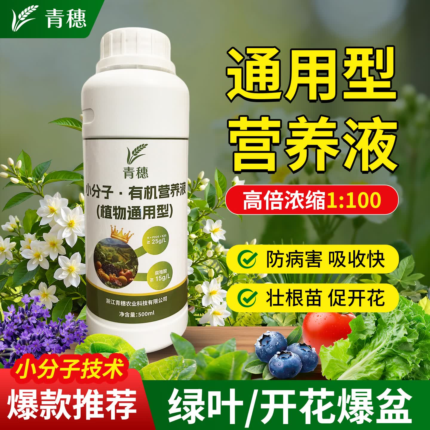 通用型耐用小分子有机营养液促根壮根家用绿植花卉水培植物液体肥 花卉绿植通用【500克*1瓶】小分子有机营养液