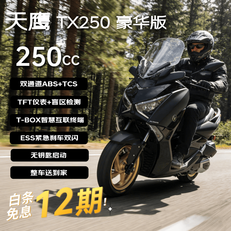 天鹰TX250F豪华版 燃油踏板摩托车长途摩旅越野通勤代步舒适哑黑 26款