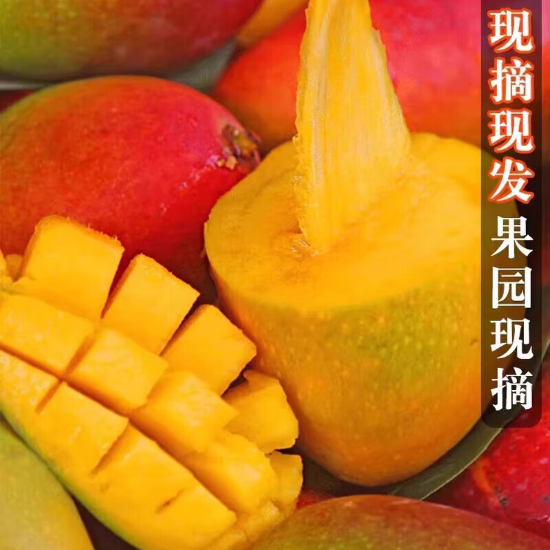 鲜宝道海南贵妃芒果新鲜热带应季水果 当季甜心 4斤贵妃芒单果100-200克净重4斤