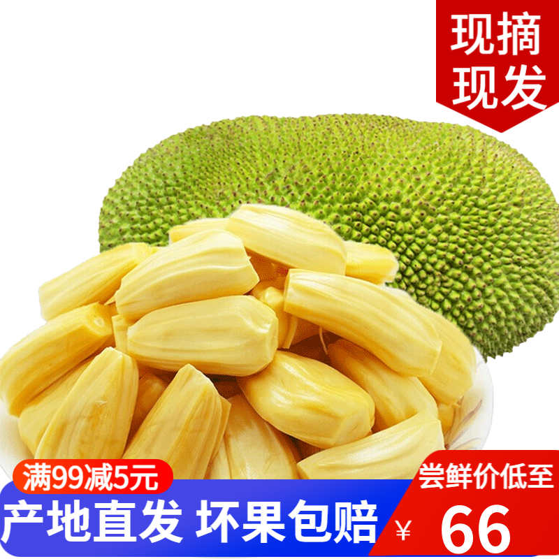 海南黄肉波罗蜜10-30斤当季新鲜水果热带黄心菠罗蜜现摘现发 10-15斤