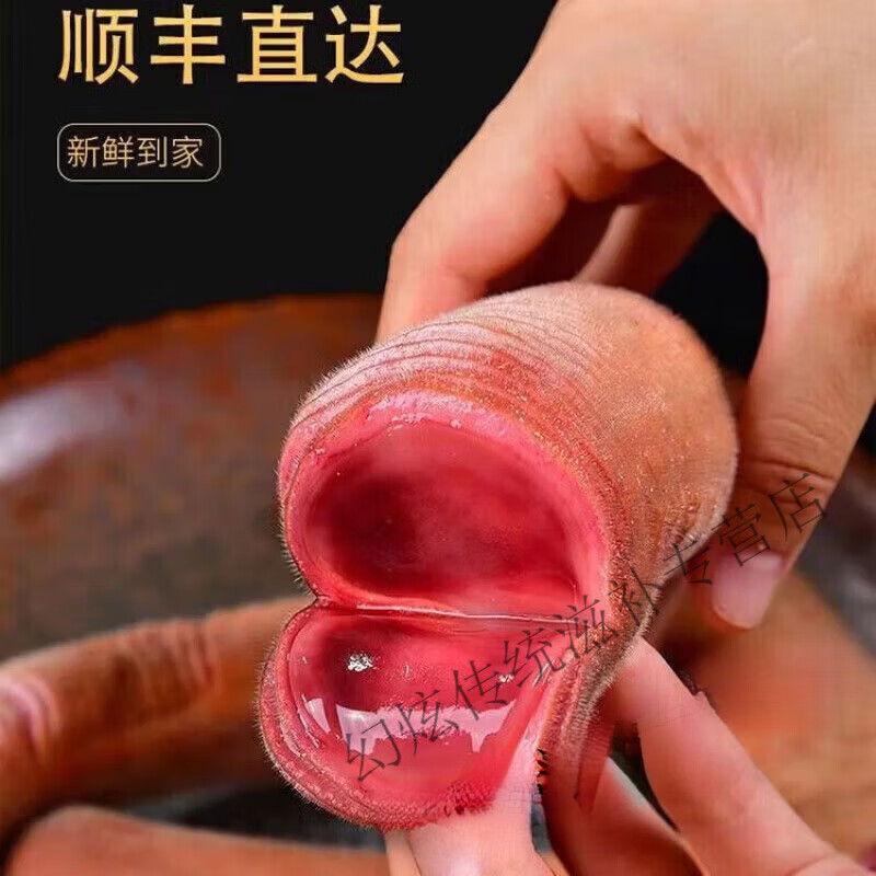 同仁堂吉林双阳鲜鹿茸整根鹿茸头茬二杠新鲜鹿茸茸血片男性泡酒  新鲜鹿茸头150g泡酒10-15 150g*1袋 吉林直发 顺丰空运