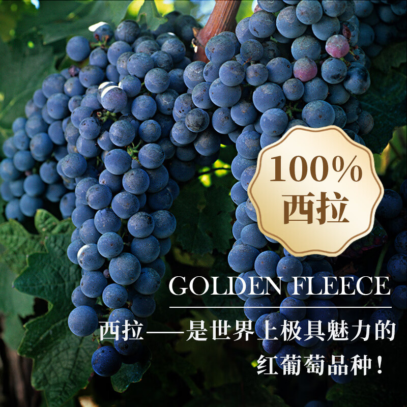 金羊毛【国际金奖】澳洲原瓶进口干红红酒葡萄酒西拉送礼酒 750ml*6瓶【国际金奖】 金羊毛【国际金奖】澳洲原瓶进口干红红酒葡萄酒西拉送礼酒 750ml*6瓶【国际金奖】
