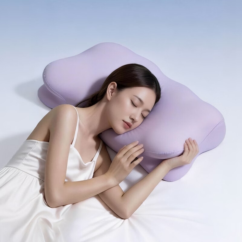 8H 慢回弹记忆棉 A类成人枕头护颈椎枕芯深度睡眠抗菌枕套 HY Pro紫