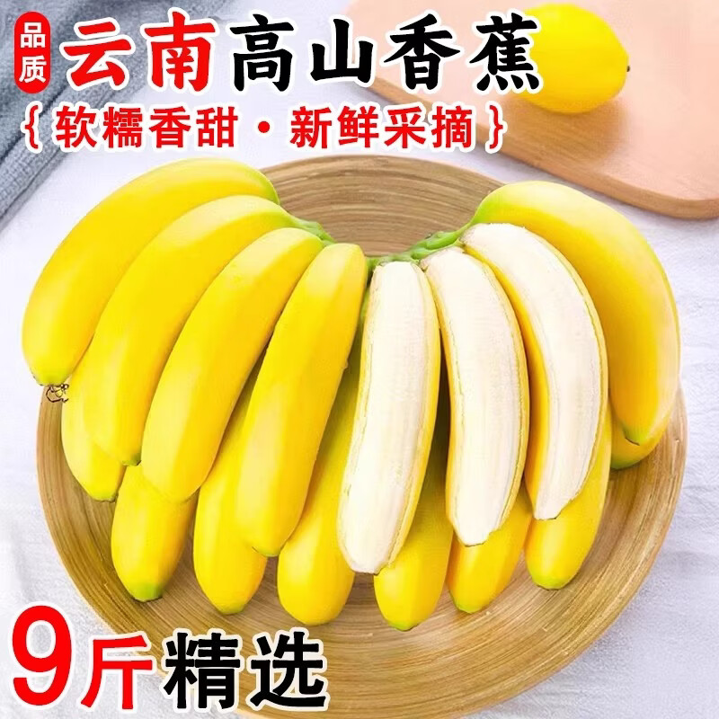 甜果源云南高山香蕉 产地现摘威廉斯青皮香蕉自然熟新鲜应季水果 9斤【超值装】 自行催熟更放心